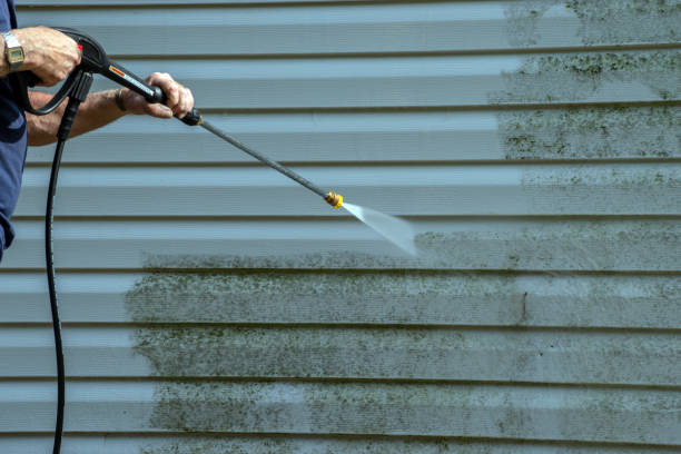 Best Power Washing Near Me  in Hamburg, IA