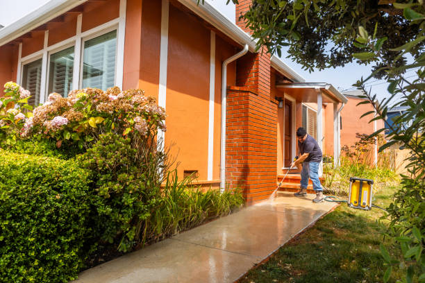 Best Concrete Pressure Washing  in Hamburg, IA
