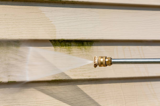 Best Pressure Washing Company Near Me  in Hamburg, IA